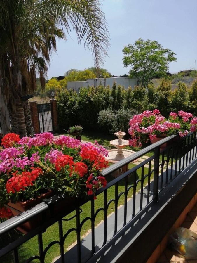 B&B Villa Salome' San Pietro Clarenza Экстерьер фото